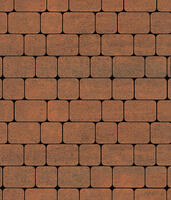  Тротуарная плитка Выбор Классико Листопад А.1.КО.4 40 мм. Мустанг: внешний вид